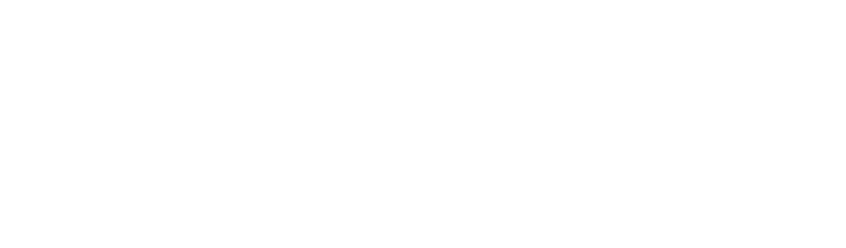 BARDSI